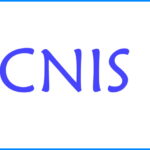 Em letras azuis, escrito CNIS