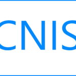 Fundo azul com letras em azul-claro, escrito CNIS
